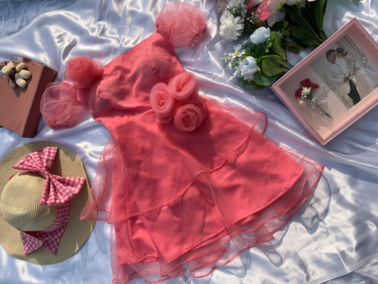 PINK ROSE AFFAIR DRESS WITH SLEEVES