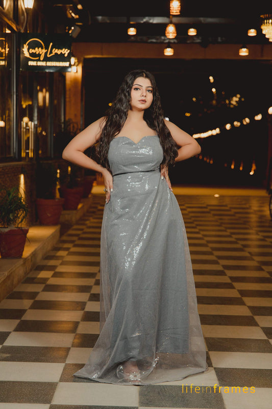 Moonlit Silver Dress